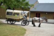 Coche enganches - Calesa - Otra marca -  