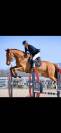 Pension Ecurie AT Jump
