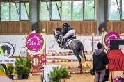 Talented & Competitive Sport Pony