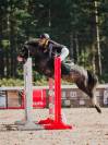 Talented & Competitive Sport Pony