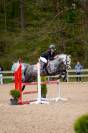 Talented & Competitive Sport Pony