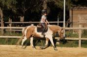 Pio 7 ans 1,65m ONC