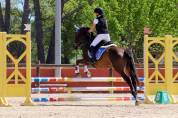 Jewel jument ONC 7 ans