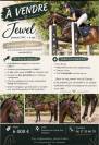 Jewel jument ONC 7 ans