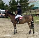 vendo doppio pony magnifico 