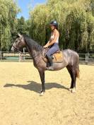 Cheval de sport et loisirs 