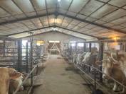 Fontenay Belle ferme d'&eacute;levage