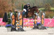 Cheval Hongre maitre d'&eacute;cole