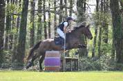 Cheval Hongre maitre d'&eacute;cole