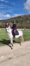 A VENDRE PONEY D