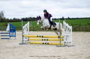 A VENDRE PONEY D