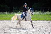 A VENDRE PONEY D