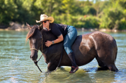 KALA - Quarter Horse Grullo
