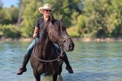 KALA - Quarter Horse Grullo