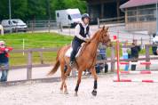 Cheval 9 ans pur sang 