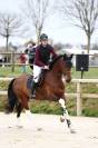 Paladin Loy &ndash; Hongre SBS pie bai &ndash; 5 ans &ndash; 1,63 m