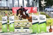 Paladin Loy &ndash; Hongre SBS pie bai &ndash; 5 ans &ndash; 1,63 m