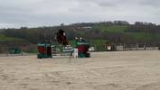 Jument 6 ans par Andiamo Semilly x L'Arc de Triomphe