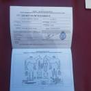 Jument de trait Belge inscrite