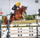Top cheval amateur