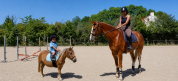 Top cheval amateur