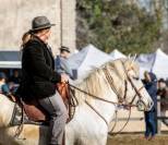 Jument Camargue
