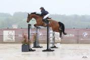 cheval de 7 ans gagnant sur les &eacute;preuves de 6 ans 