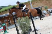 cheval de 7 ans gagnant sur les &eacute;preuves de 6 ans 