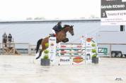 cheval de 7 ans gagnant sur les &eacute;preuves de 6 ans 