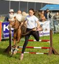 Jument silver appaloosa de 95 cm