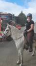 Hongre 15 ans exepriences forte en randonn&eacute;e