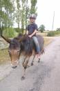 vend mule