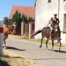 vend mule