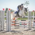 Poney D ma&icirc;tre d&rsquo;&eacute;cole