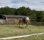 Demi-pension loisir sur ponette