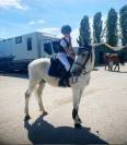 VENDO PONY FRANCESE