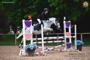 VENDO PONY FRANCESE