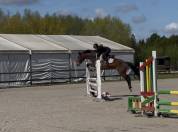 top jument 4ans cso