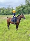 Ponette New Forest PP 