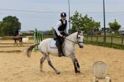RECHERCHE DEMI PENSION