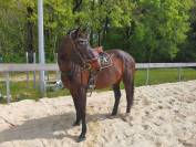 RECHERCHE DEMI PENSION