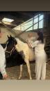 Poulain de 2ans 