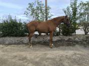3 ans par Candy de Nantuel 