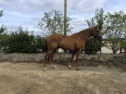 3 ans par Candy de Nantuel 