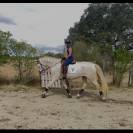 Superbe Lusitanien isabelle de 4 ans, tr&egrave;s gentil