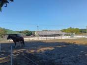 Ruiterclub Koop Finist&egrave;re