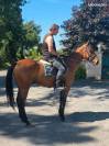 Cheval CSO Balade