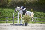 Jument de sport CSO
