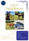 Vente d&rsquo;une ponette 3 ans