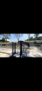 Vente d&rsquo;une ponette 3 ans